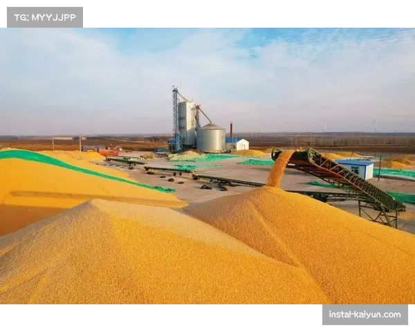 中超球队财政趋健康 薪资结构回归合理区间